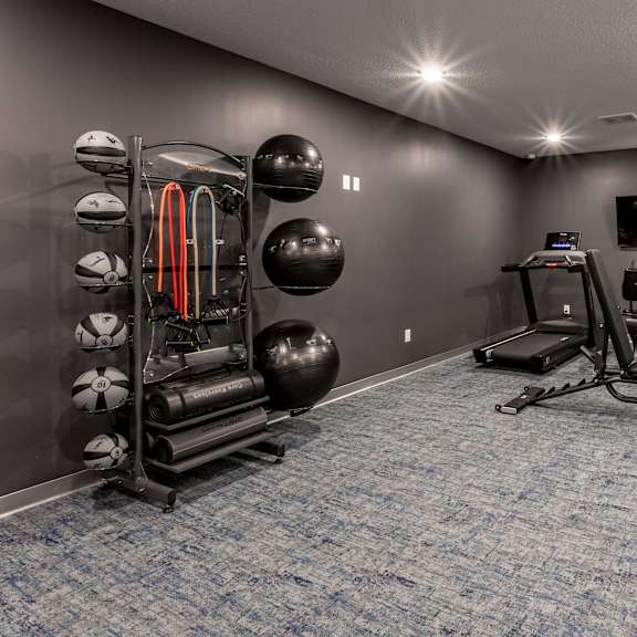 a room with a blue carpet and exercise equipment.