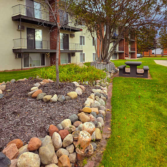 a tree in a rock bed in front of a building.
