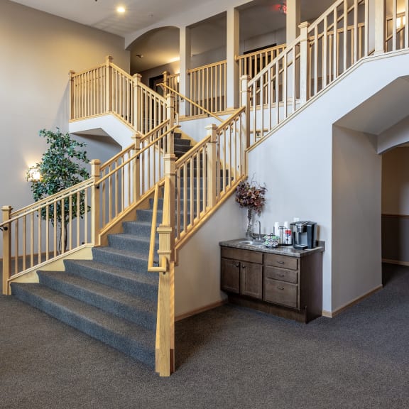 a spiral staircase in a building with a plant in the corner
