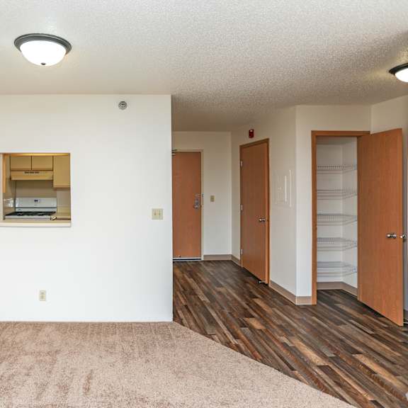 a room with a brown carpet and wooden floors.