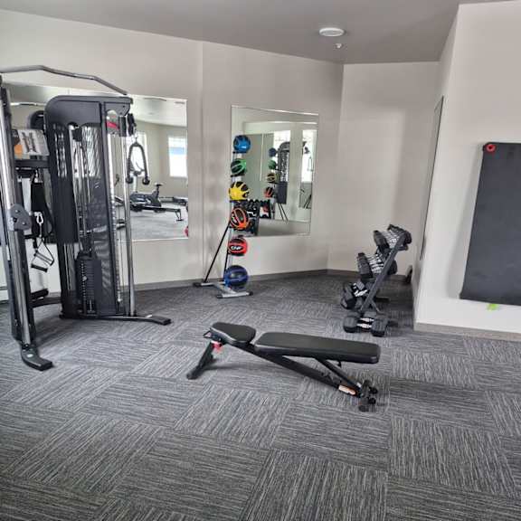 a gym with a variety of equipment including a treadmill, weights, and a bench press.