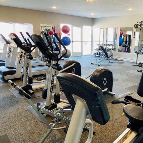a state of the art gym with cardio equipment and weights