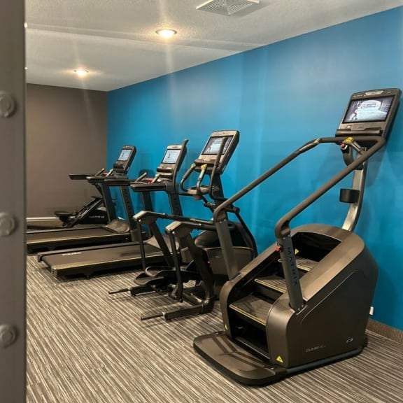 a row of exercise equipment in a gym with cardio machines