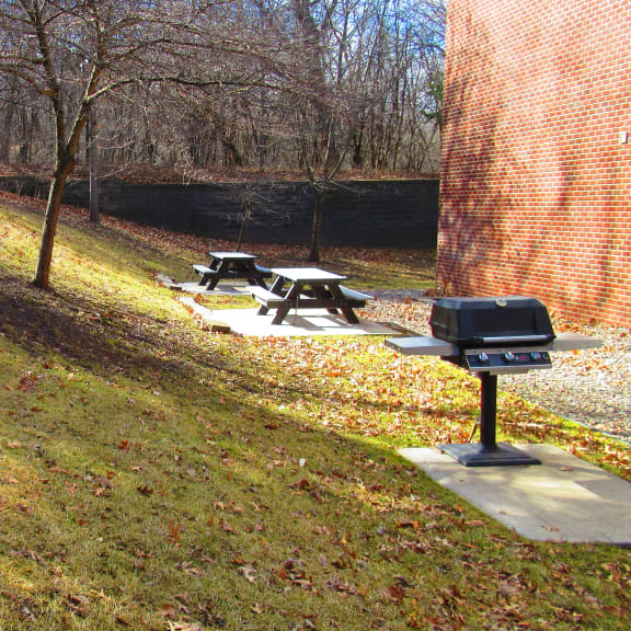 a picnic area with two picnic tables and a grill