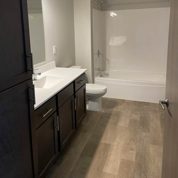 a bathroom with a sink and a toilet and a shower