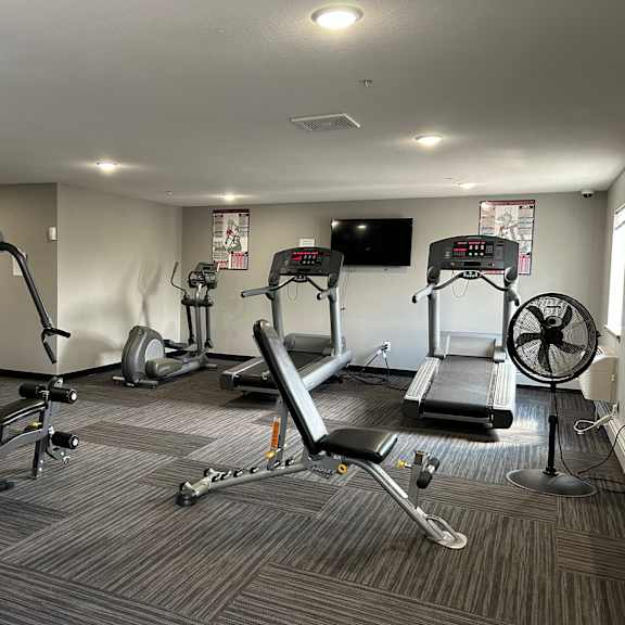 a gym with a variety of equipment including treadmills, weights, and a fan.