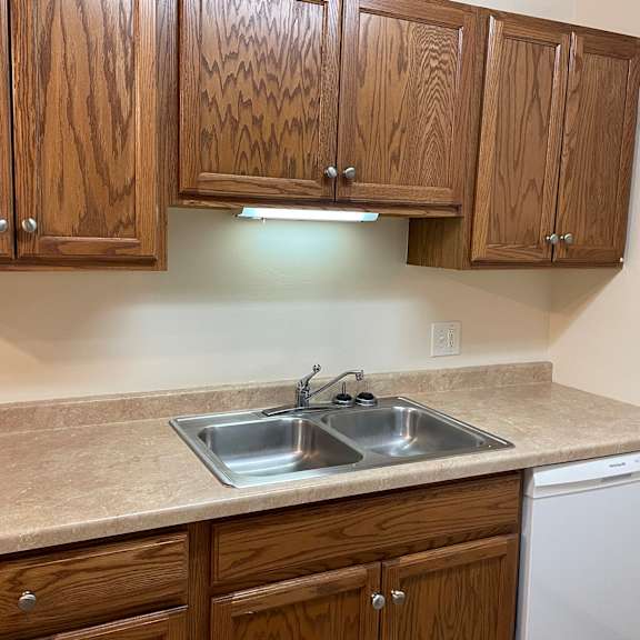 a kitchen with wooden cabinets and a marble countertop.