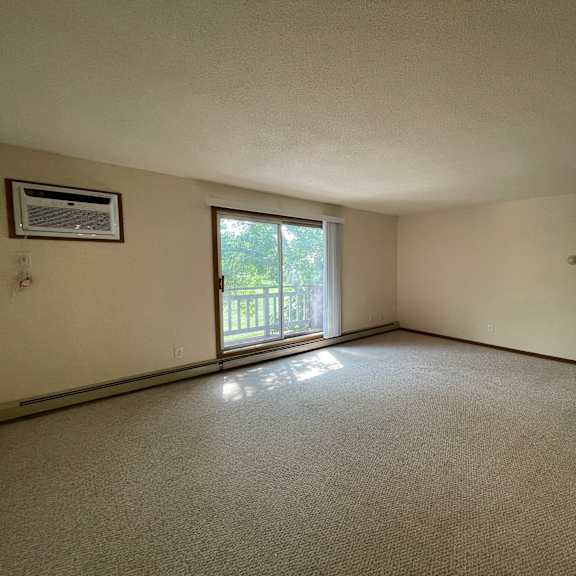 a room with a carpeted floor, a window with a view of trees, and a door leading to another room.