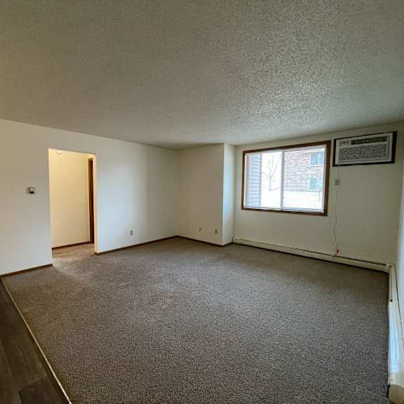 empty room with carpeted floor and a window.