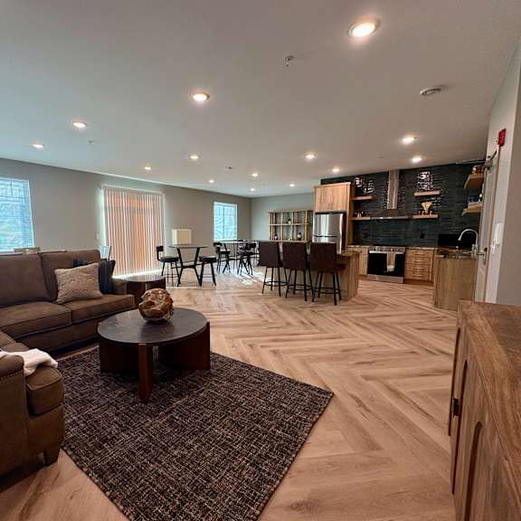 a modern living room with a brown rug and wooden flooring.