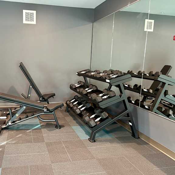 a gym with a bench, weights, and mirrors.