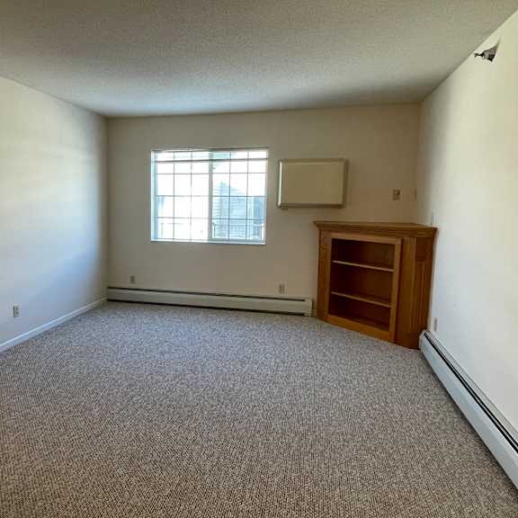 a room with a carpeted floor, a window, and a wooden cabinet.