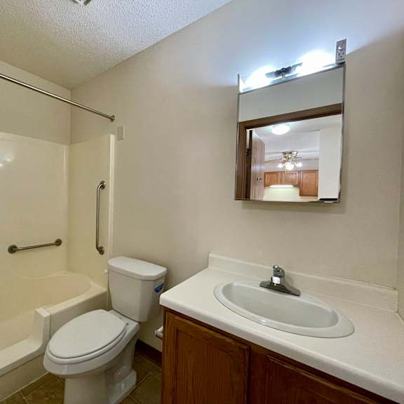a white toilet sits next to a sink in a bathroom.