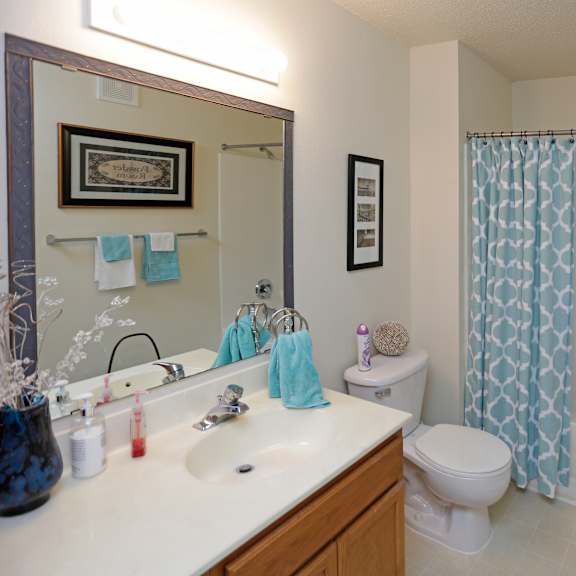 a bathroom with a sink toilet and a shower