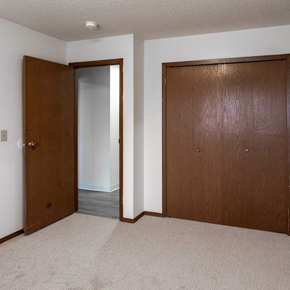 a room with two brown doors and a carpeted floor.