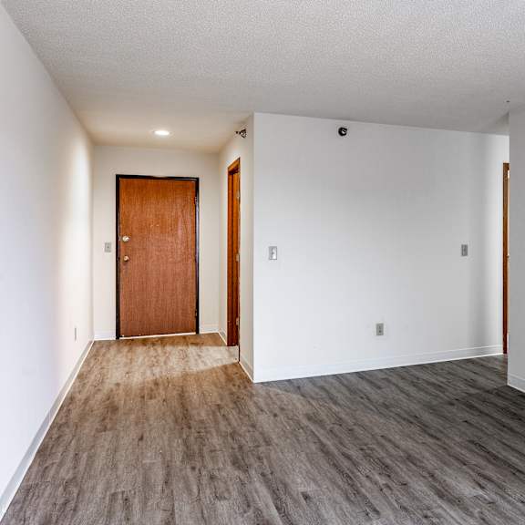 a room with a wooden floor and a brown door.