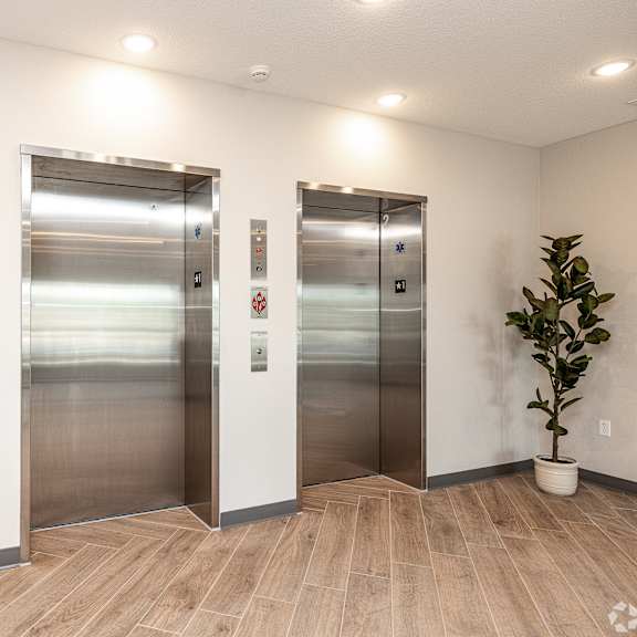 two stainless steel elevators in a hallway with a plant and a painting on the wall.