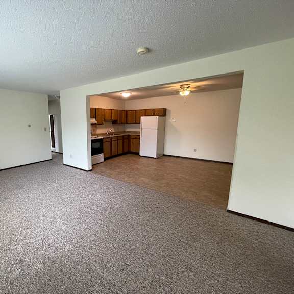 a room with a carpeted floor and a kitchen area in the background.