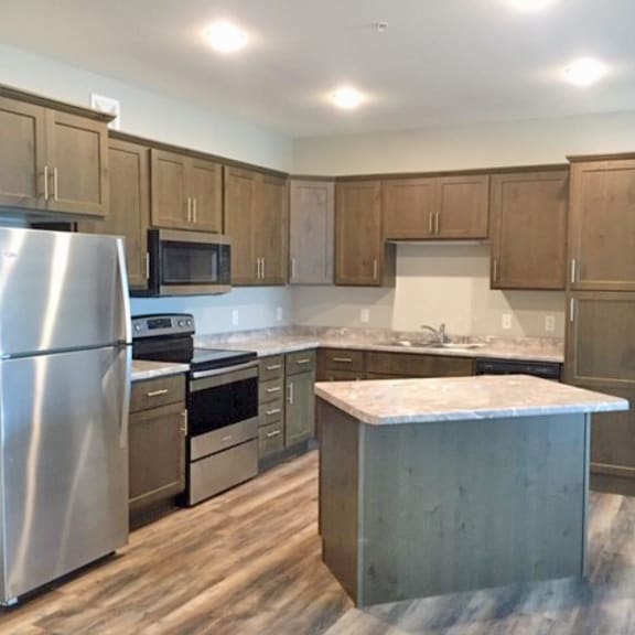 a kitchen with stainless steel appliances and wooden cabinets