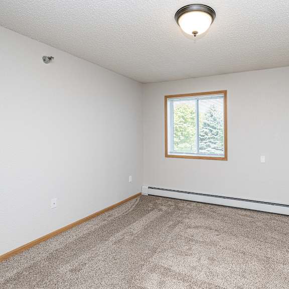a room with a carpeted floor and a window showing trees outside.