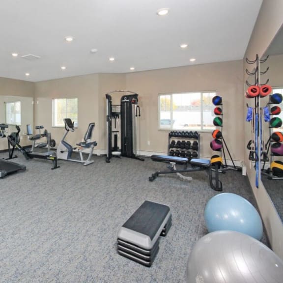 a gym with weights and cardio equipment in a home gym