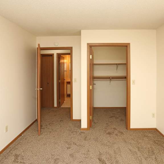 a room with a carpeted floor and a closet with a door.