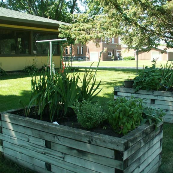 outdoor landscape