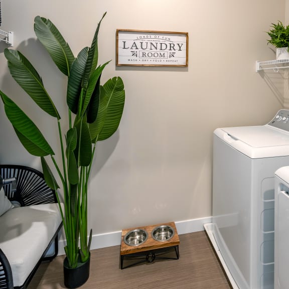 a washer and dryer in a laundry room with a plant