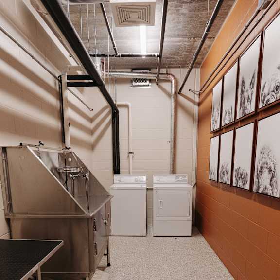 a large room with a sink and washing machines