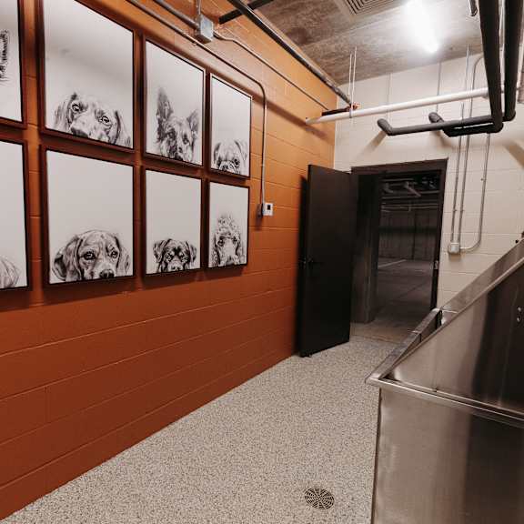 a hallway with pictures of dogs on the wall and a stainless steel refrigerator