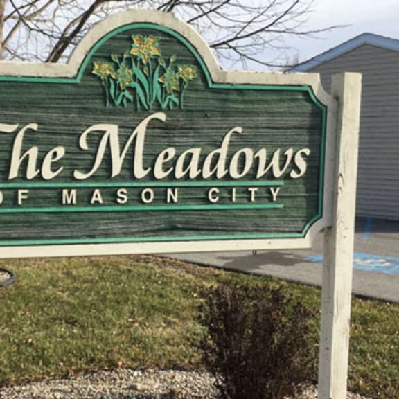 the meadows