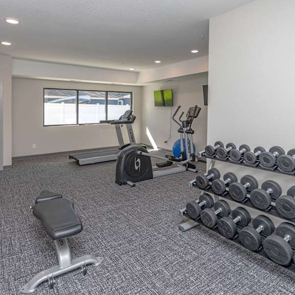 a home gym with a bench, weights, and exercise equipment.