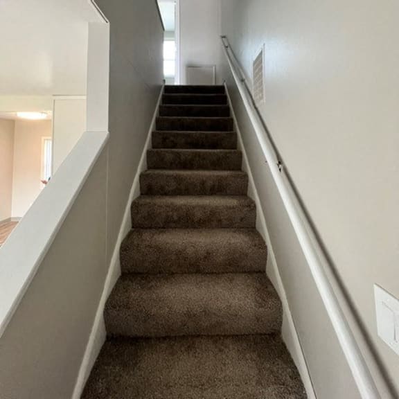 a staircase with carpeted stairs leading up to a house