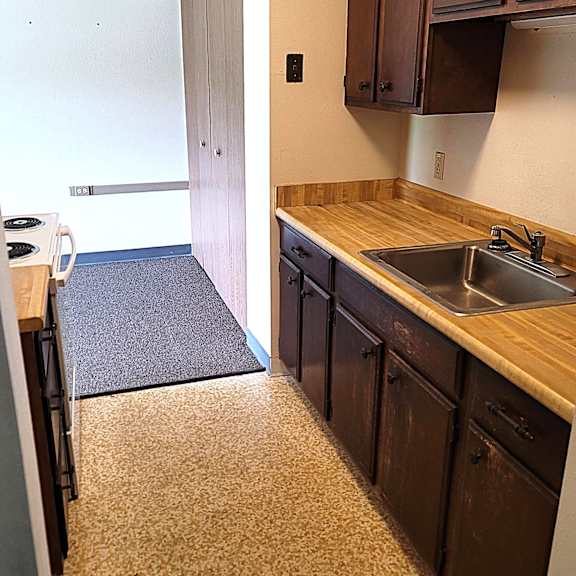 a kitchen with a sink and cabinets.