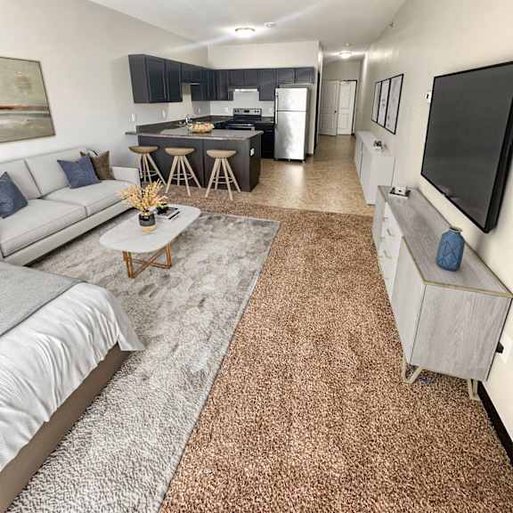 a living room with a grey couch and a brown rug.