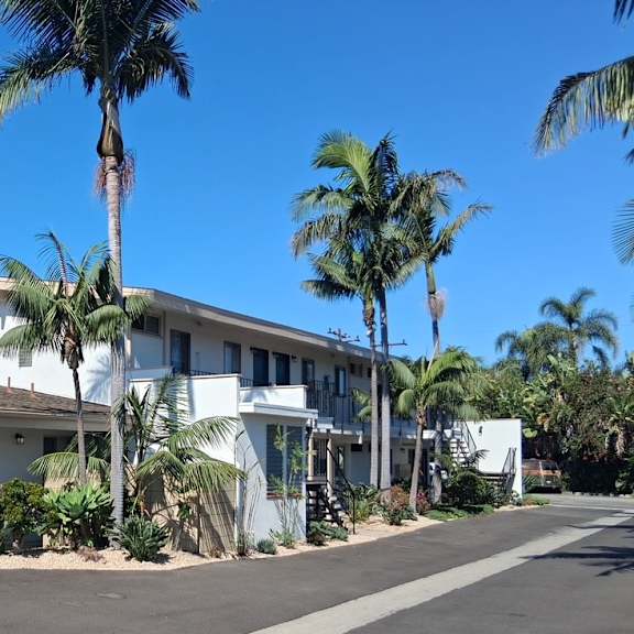 a row of houses with palm trees in front.