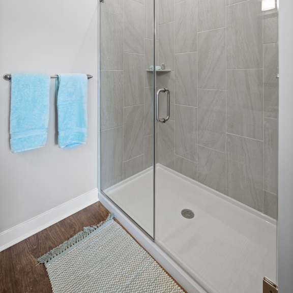a stand-up shower with a frameless door and modern tile walls in a bathroom with hardwood-style flooring.