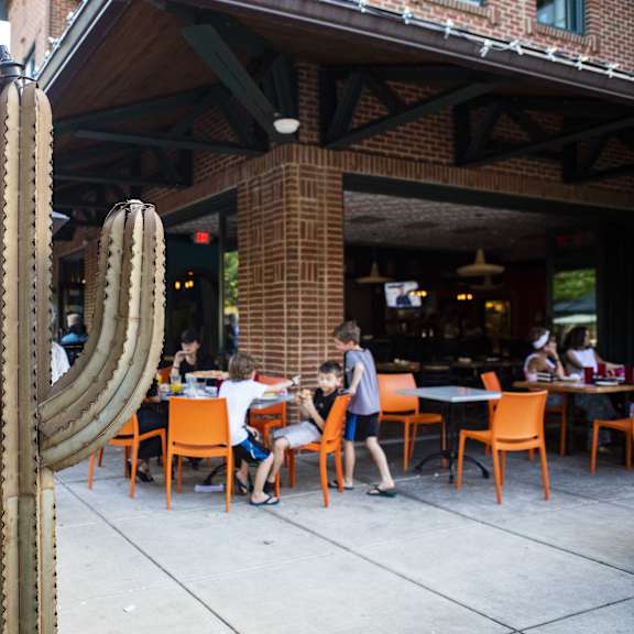 a cactus is in the foreground of a restaurant with people eating at tables.