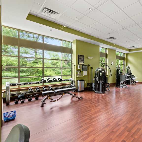 a gym with a variety of equipment including treadmills, weights, and exercise machines.