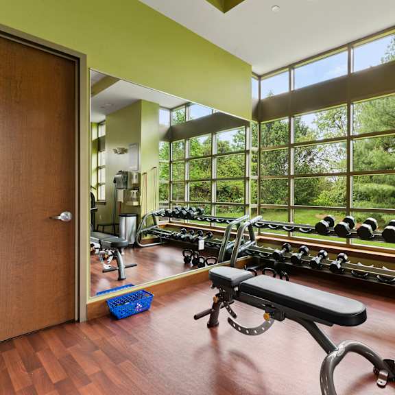 a gym with a row of dumbbells and a bench in the foreground.