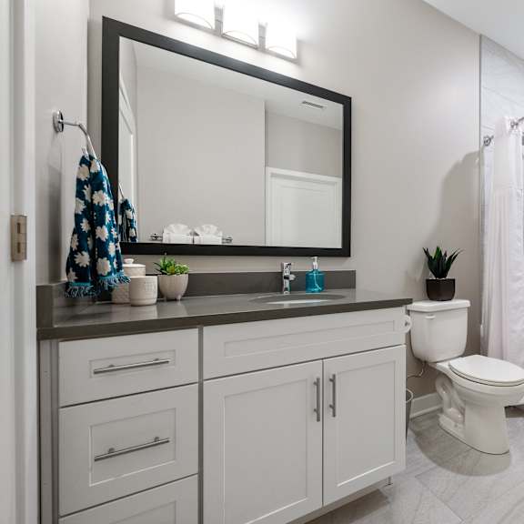 a bathroom with a white toilet, a sink, a mirror, and a bathtub.