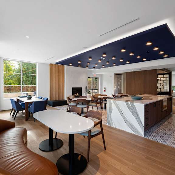 entertainment kitchen with versatile seating options and abundant natural light at hamilton at eagleview, exton, pa