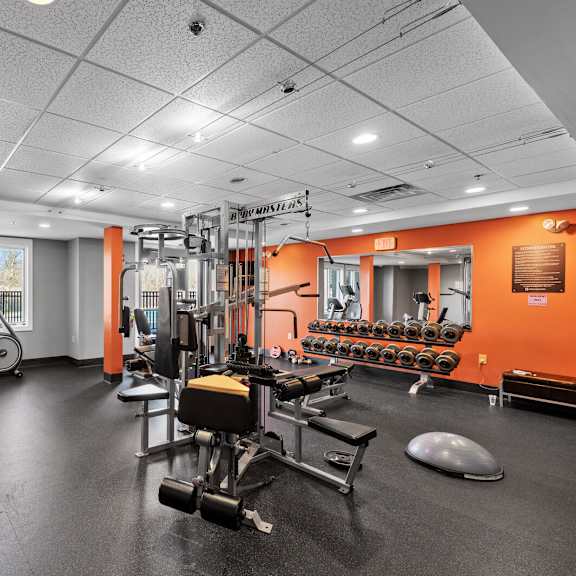 a fully-equipped fitness center at new kent apartments in west chester, pa, featuring weight and cardio machines, large mirrors, and ample natural light from the windows