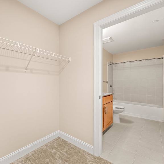 a room with a toilet and a walk-in shower.
