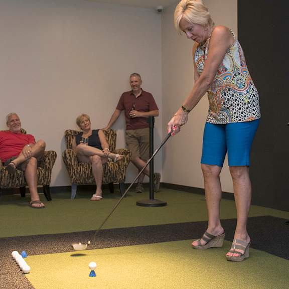 golf simulator
