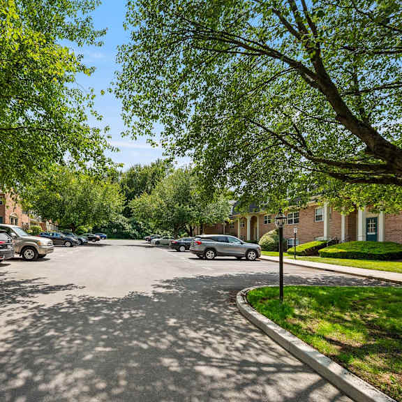 a tree-lined street with cars parked on the side.