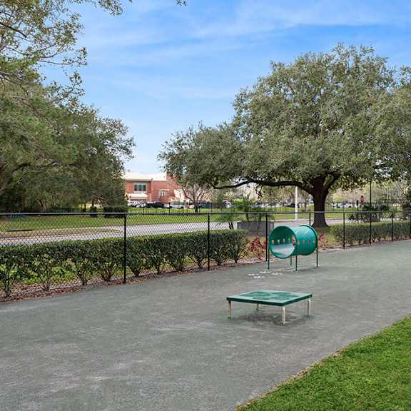 community dog park with agility equipment at seven lakes at carrollwood apartments in tampa, fl.
