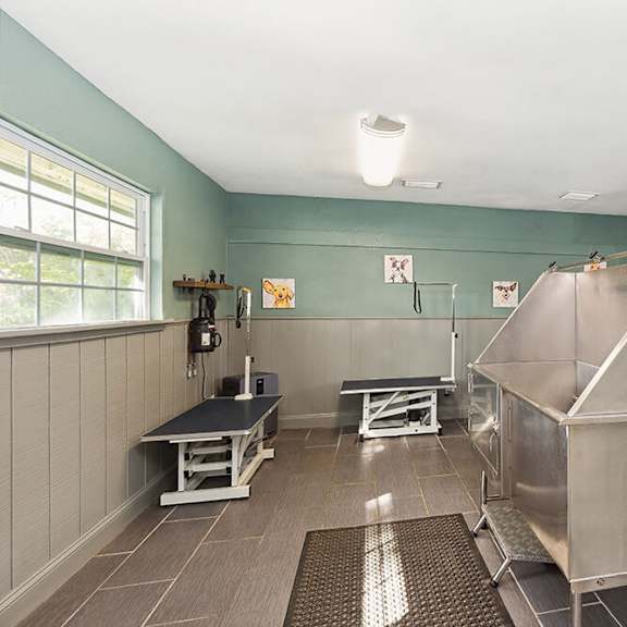 community dog wash station at seven lakes at carrollwood apartments in tampa, fl.
