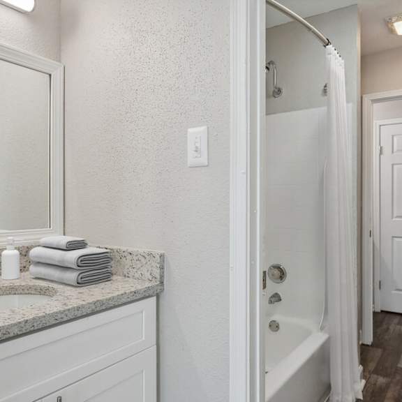 a bathroom with a sink and a mirror and a shower