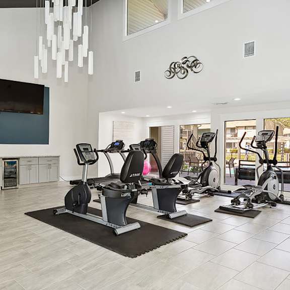 community fitness center with equipment at seven lakes at carrollwood apartments in tampa, fl.